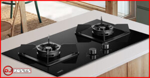 Gas stove