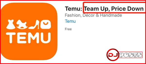 What is Temu Official site 