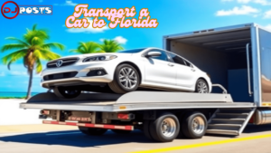 Transport a Car to Florida